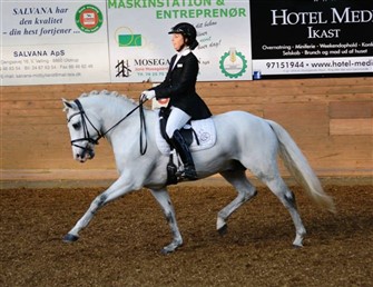 Delaney's ved DSP Championat