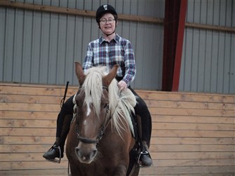 Nora er født i 2005. Hun er noget så sjældent som en Noriker - en østrigsk hest . Hentet i Østrig af tidligere ejer. En forstørret haflinger. En bjerghest, som trods sin tyngde er let på benene og som ikke skovler, hvilket er en stor fordel, når man skal bruges som terapihest. Hun har kørt studenterkørsel og har været kørehest i sit tidligere liv. Nu er hun tilredet og er en fantastisk terapi hest med det helt rette temperament til opgaven.