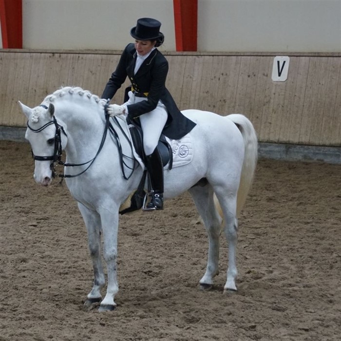 Delaney's vinteren 2018